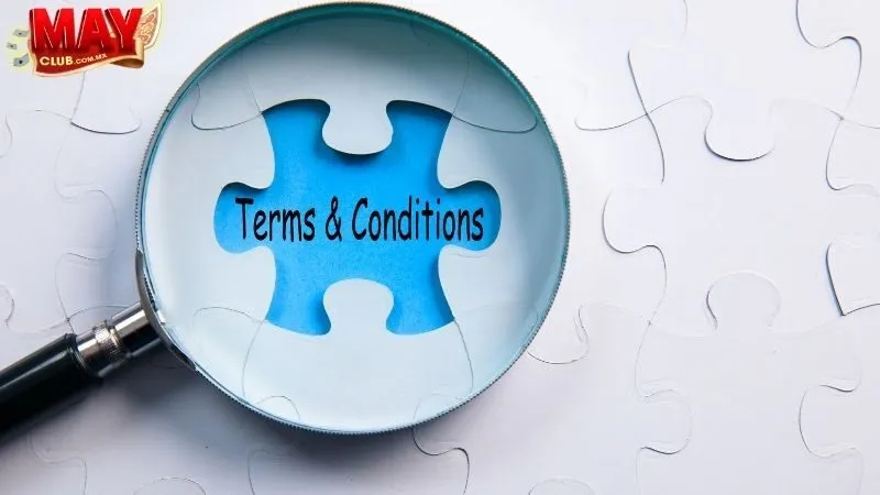 Điều Khoản Về Bên Đăng Ký và Tài Khoản