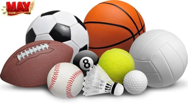 Ưu Điểm Khác Của Thể Thao Mayclub