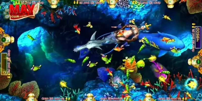 Chiến thuật và mẹo chơi Vua Săn Cá hiệu quả