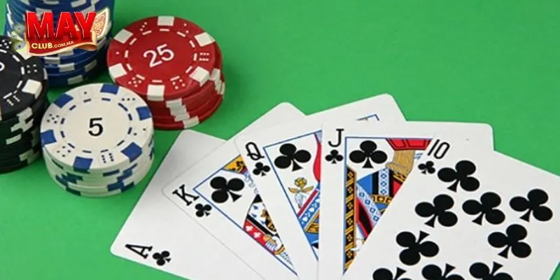 Giới thiệu về Xì Tố tại Mayclub